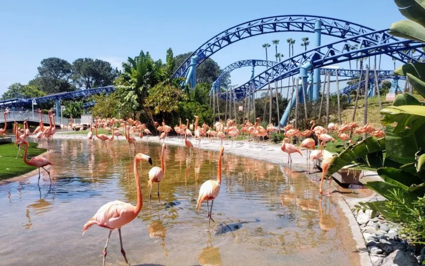 San Diego Family Attractions: Kid’s Places to Visit in San Diego